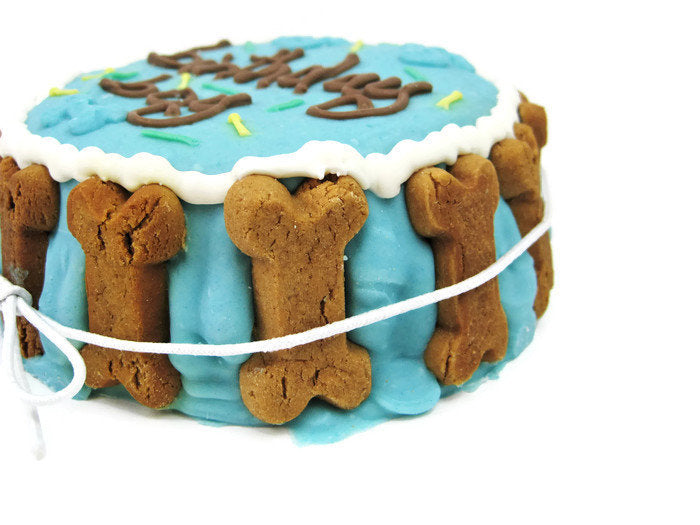 Birthday Boy | Dog Cake
